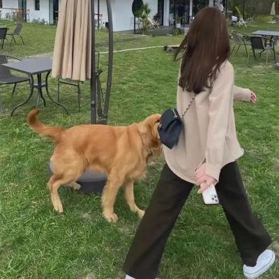 婚姻之痒封面
